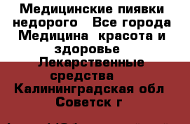 Медицинские пиявки недорого - Все города Медицина, красота и здоровье » Лекарственные средства   . Калининградская обл.,Советск г.